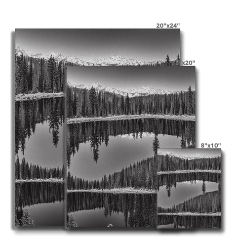 A double image of trees on a picture that is white and black in color.