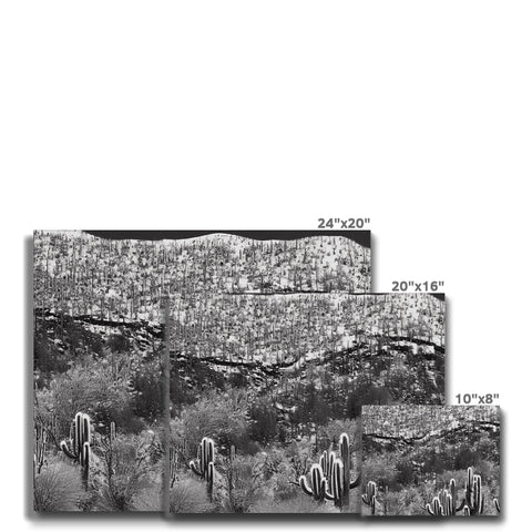 A black and white photo of a wall set in grassy hills.