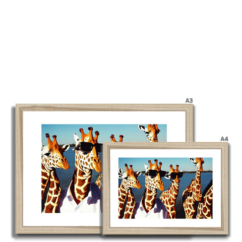 Four giraffes are standing in front of a picture frame in a field.