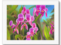 A lot of orchids on a flowering plant in a small square with an or