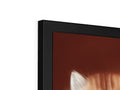 A picture frame has a cats face showing off the screen of a flat screen television.