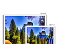 A very bright picture of colorful trees with a picture of trees that was made from a