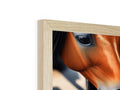A horse peeks behind a white frame that has a wooden background with wooden panels and