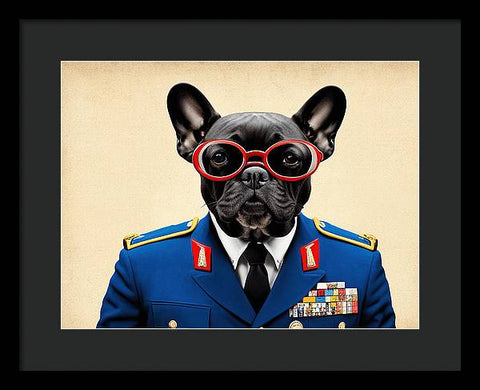 French Bulldog 19 - Photo - Framed Print