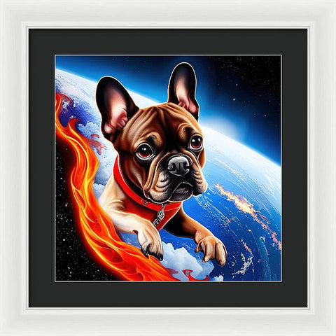 French Bulldog 37 - Painting - Framed Print