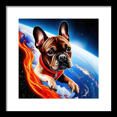 French Bulldog 37 - Painting - Framed Print