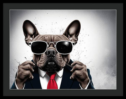 French Bulldog 39 - Photo - Framed Print
