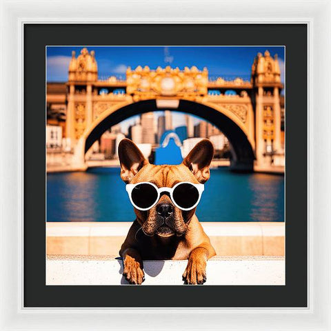 French Bulldog 45 - Photo - Framed Print