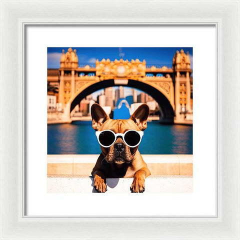 French Bulldog 45 - Photo - Framed Print