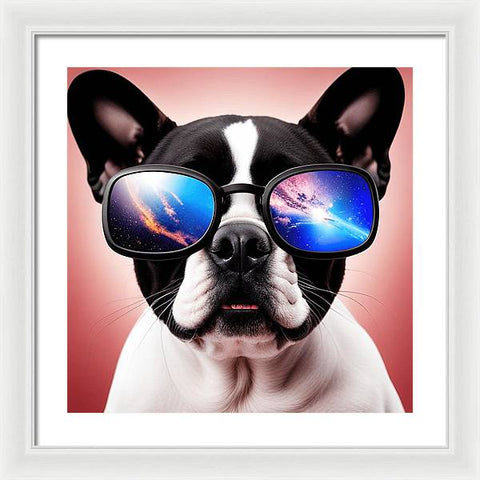 French Bulldog 54 - Photo - Framed Print