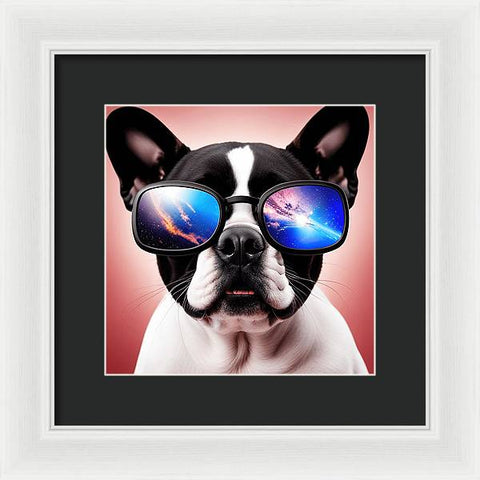 French Bulldog 54 - Photo - Framed Print