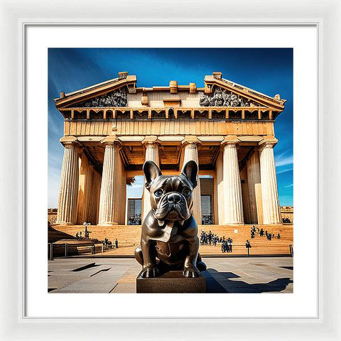 French Bulldog 6 - Photo - Framed Print