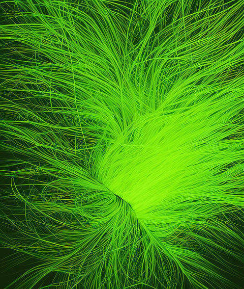 A pets feather duster in front of a bunch of green lights on a car