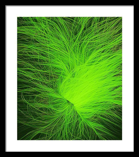 Dual-Hued Grass - Framed Print