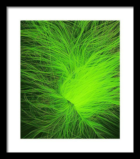 Dual-Hued Grass - Framed Print