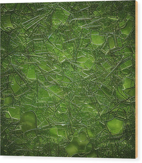 A book containing a green leaf covered in moss.