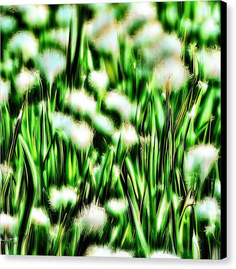 A vase of flowers with a white background of green flowering daffodils