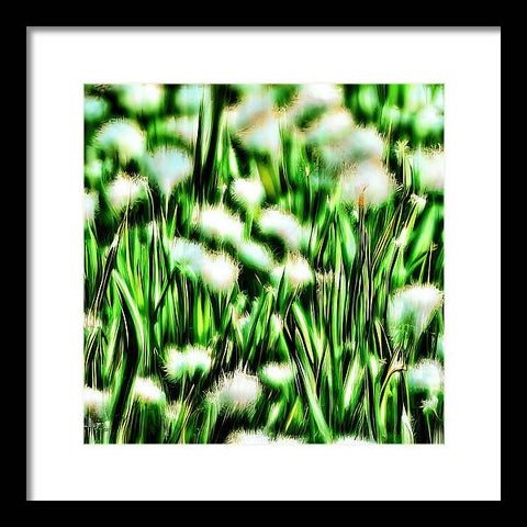 Blooming Daffodils - Framed Print