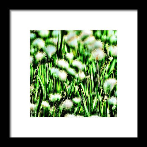 A lush green field with white scallions on white grass with some white flowers