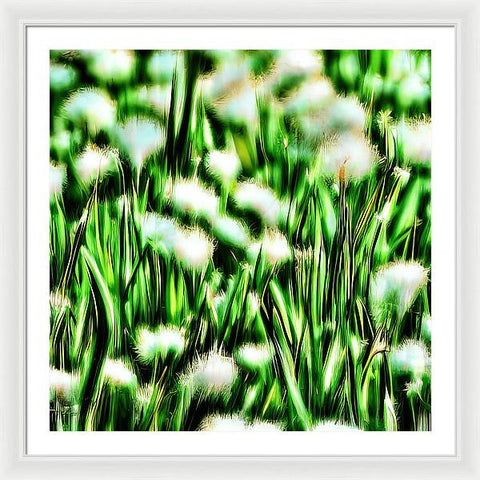 Blooming Daffodils - Framed Print