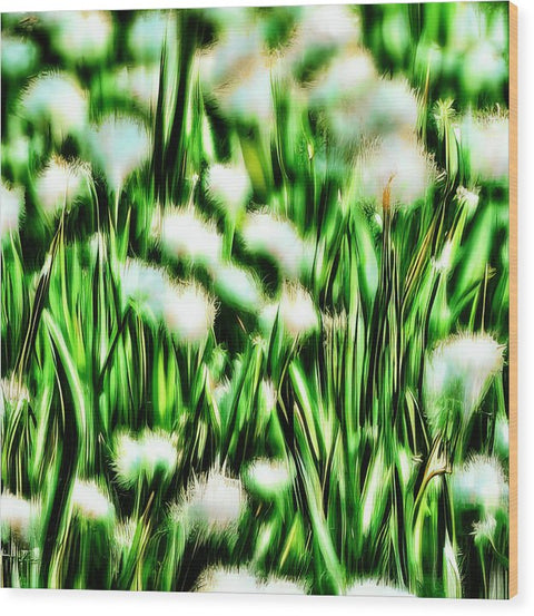 A view from a window of a white wall with dandelions close to a field