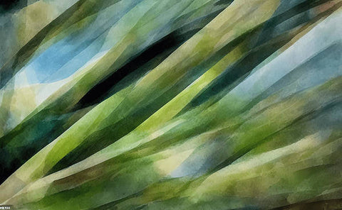 a close up of a bunch of tall grass and leaves in an open field