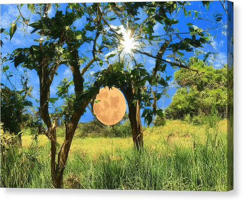 A green, lush tree covered African savannah surrounded by tall grass under a full moon