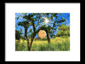 A wooden framed print of a full moon lit up by a bright blue sky