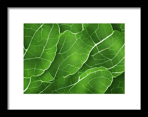 Veggie Plant in its Verdant Splendor - Framed Print