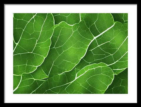 Veggie Plant in its Verdant Splendor - Framed Print