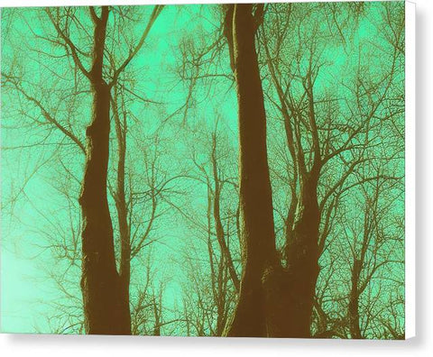 Forest's Shadowed Embrace - Canvas Print