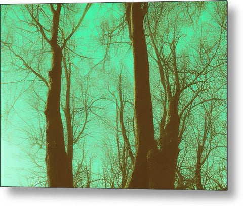 A dark green canopy of trees with leafless trees in it