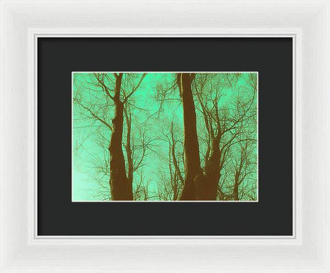 Forest's Shadowed Embrace - Framed Print