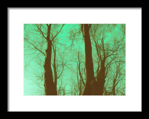 Forest's Shadowed Embrace - Framed Print