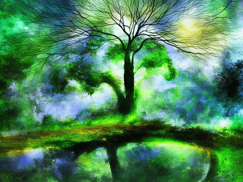 A beautiful green tree surrounded by green trees is reflected in a pond
