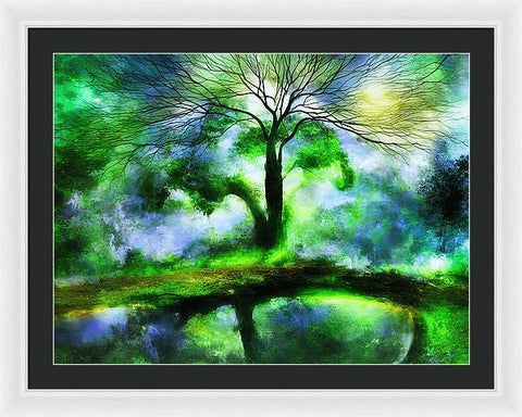 Reflections in Nature - Framed Print