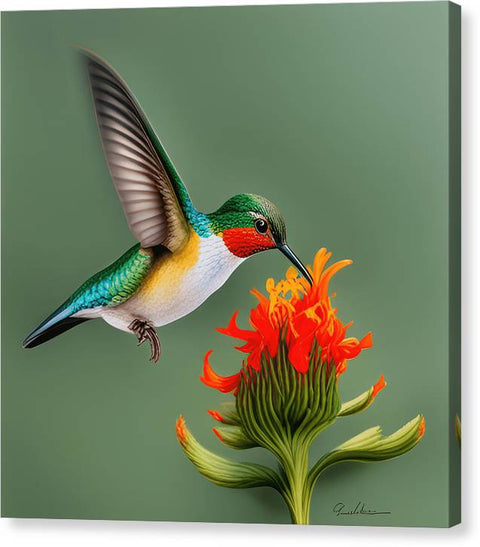Hummingbird and Flower Portrait Bird Art - Canvas Print