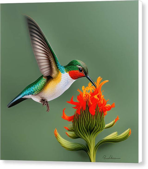 Hummingbird and Flower Portrait Bird Art - Canvas Print