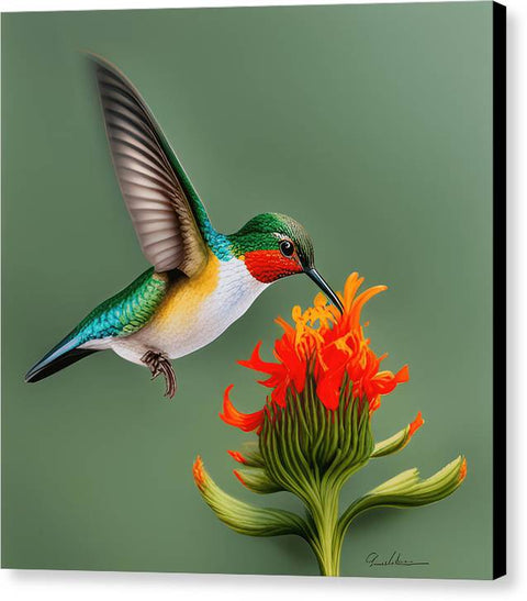 Hummingbird and Flower Portrait Bird Art - Canvas Print