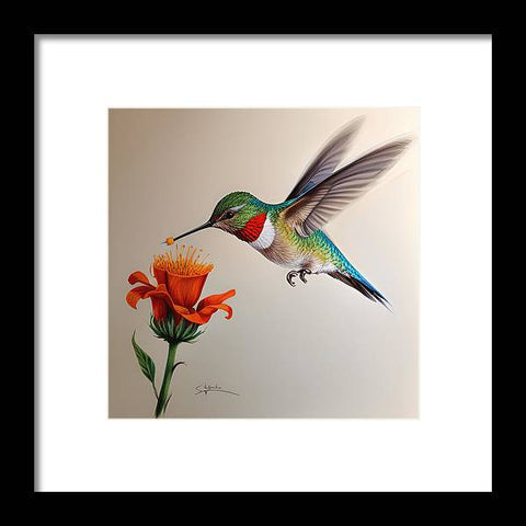 Hummingbird with Flower Drawing - Framed Print