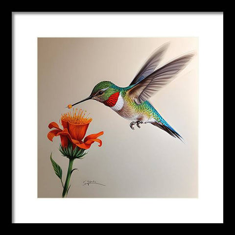 Hummingbird with Flower Drawing - Framed Print