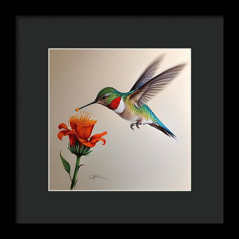 Hummingbird with Flower Drawing - Framed Print