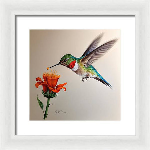 Hummingbird with Flower Drawing - Framed Print