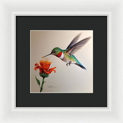 Hummingbird with Flower Drawing - Framed Print