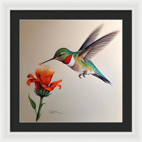 Hummingbird with Flower Drawing - Framed Print