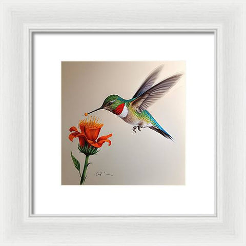 Hummingbird with Flower Drawing - Framed Print