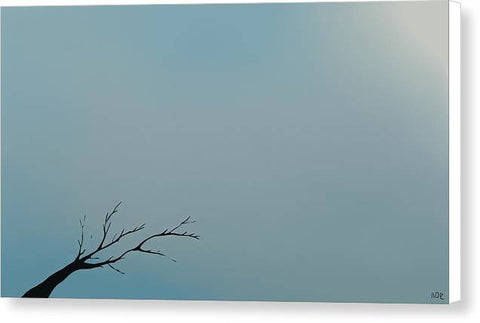 A Tale of Two Trees - Canvas Print