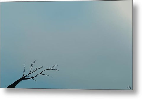 A leafless tree on top of a hill in a field with a foggy sky