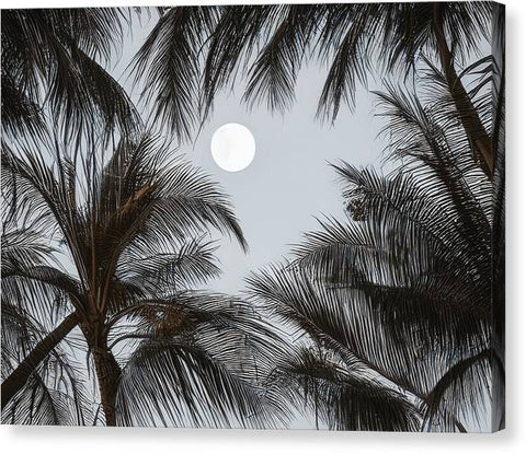 An art print of the moon on a street with a palm tree.