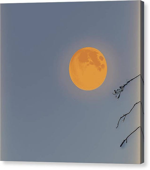 A white boogie board next to a red forest with a blue sky and a moon